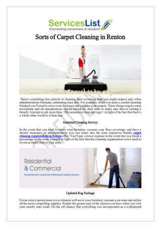 Sorts of Carpet Cleaning in Renton