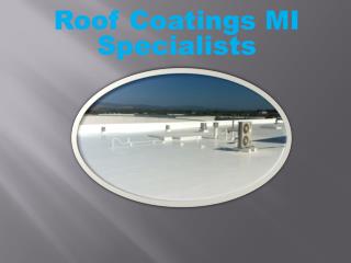 Roof Coatings MI Specialists