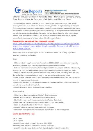 Chlorine Industry Outlook in Mexico to 2019