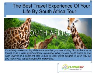 The Best Travel Experience Of Your Life By South Africa Tour