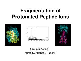 Fragmentation of Protonated Peptide Ions