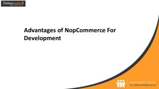 Advantages of NopCommerce Development