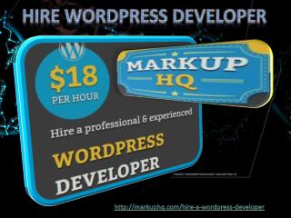 HIRE WORDPRESS Developer