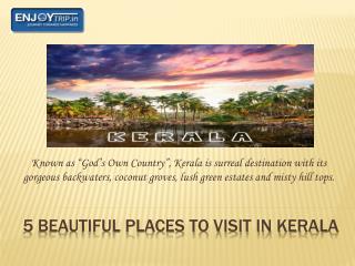 Places to Visit in Kerala