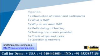 What is sap? who use sap all around the world?