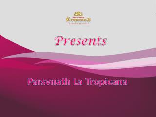 Parsvnath La Tropicana Civil Lines North Delhi