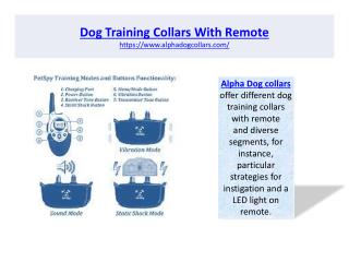 Dog training collar with remote