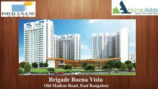 Brigade Buena Vista
