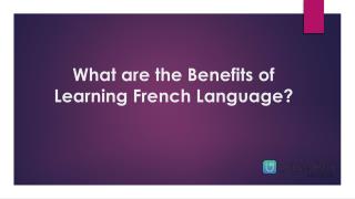 What are the benefits of learning French Language?
