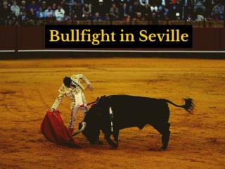 Bullfight in Seville