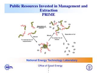 Public Resources Invested in Management and Extraction PRIME