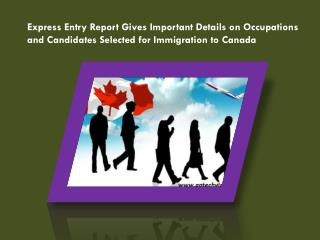 Express Entry Report Gives Important Details on Occupations and Candidates Selected for Immigration to Canada