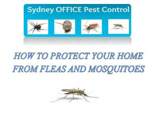 HOW TO PROTECT YOUR HOME FROM MOSQUITOES