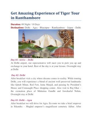 Get Amazing Experience of Tiger Tour in Ranthambore