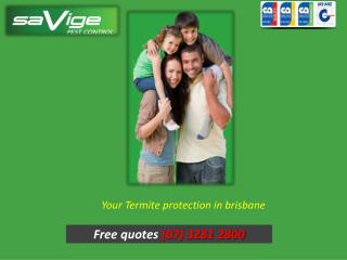 Your Termite protection in Brisbane - Savige Pest Control