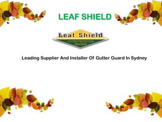 Leading Supplier And Installer Of Gutter Guard In Sydney
