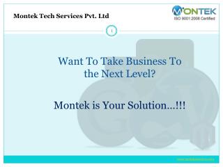 Web Development Company in Pune - Montek Services