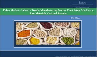Pulses Market - Industry Trends, Plant Setup and Manufacturing Requirements