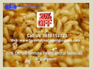 20% Off on Termite Pest Control Services in Gurgaon Call 9810353723