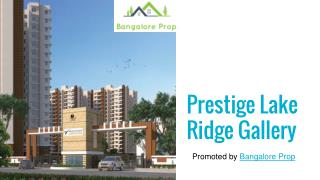 Prestige Lake Ridge Broucher