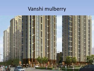 Mulberry
