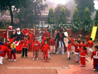 CHRISTMAS CELEBRATIONS at The LEARNING TREE…