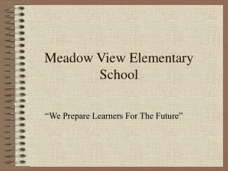 Meadow View Elementary School