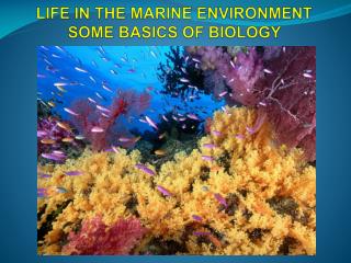LIFE IN THE MARINE ENVIRONMENT SOME BASICS OF BIOLOGY