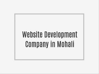 Website Designing Company in Mohali