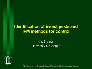 Identification of insect pests and IPM methods for control