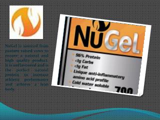 Pure Collagen Hydrolysate Beef Gelatin