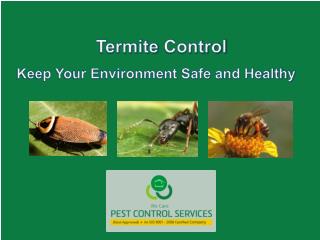 Termite Control - Keep Your Environment Safe and Healthy