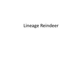 Lineage Reindeer