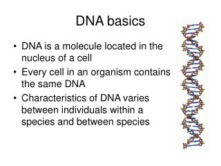 DNA basics