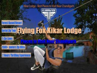 Flying Fox Kikar Lodge - Places to Visit near Chandigarh - things to do in Chandigarh