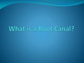 What is a Root Canal?