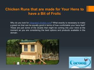 Chicken Runs that are Made for Your Hens to Have a Bit of Frolic