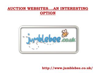 AUCTION WEBSITES….AN INTERESTING OPTION