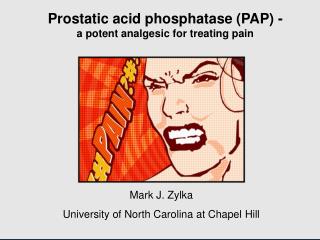 Prostatic acid phosphatase (PAP) - a potent analgesic for treating pain