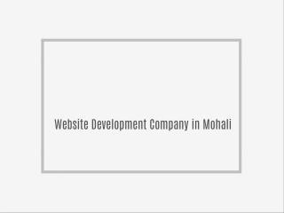 Website Designing Company in Mohali
