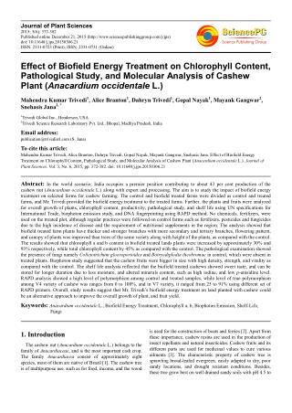 Effect of Biofield Energy Treatment on Chlorophyll Content, Pathological Study, and Molecular Analysis of Cashew Plant (