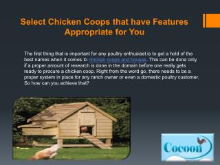 Select Chicken Coops that have Features Appropriate for You
