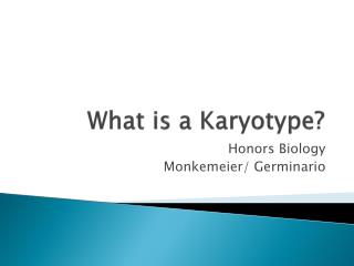 What is a Karyotype ?