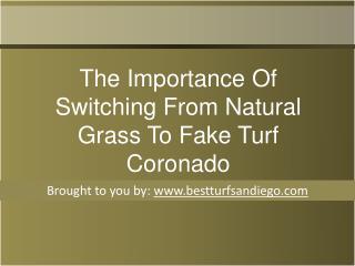 The Importance Of Switching From Natural Grass To Fake Turf Coronado