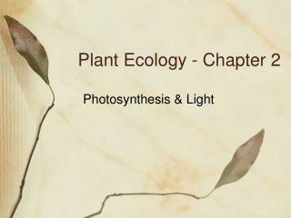 Plant Ecology - Chapter 2