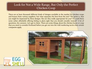 Look for Not a Wide Range, But Only the Perfect Chicken Coop