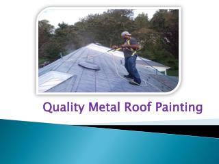 Quality Metal Roof Painting