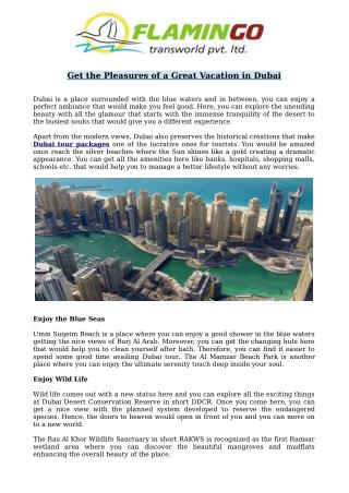 Spend a Great Vacation in Dubai | Flamingo Travels