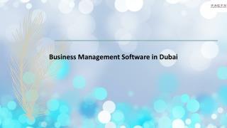 Business Management Software in Dubai