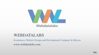 Ecommerce website development company in mysore - Webdatalabs